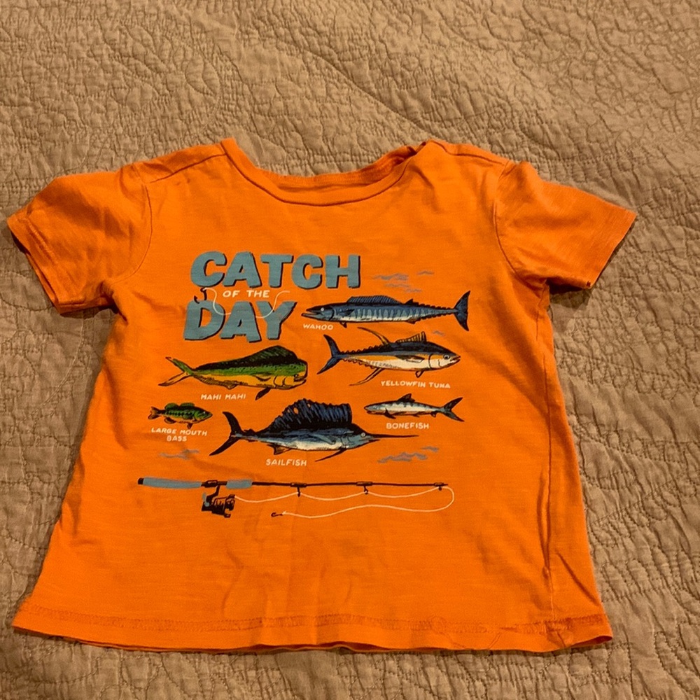 Hatley toddler boys shirt